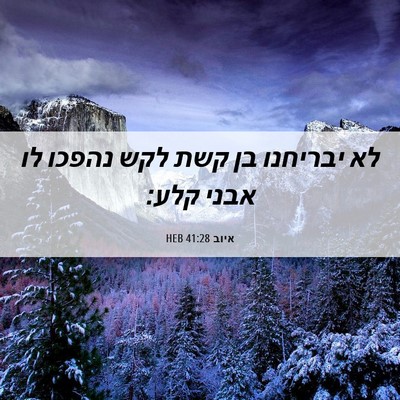 Picture 06 - איוב 41:28 HEB - לא יבריחנו בן קשת לקש נהפכו - Bible Verse Picture
