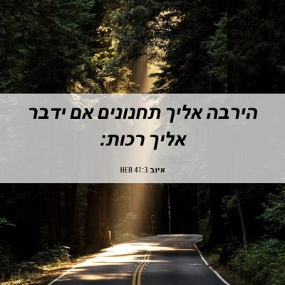 Picture 06 - איוב 41:3 HEB - הירבה אליך תחנונים אם ידבר - Bible Verse Picture