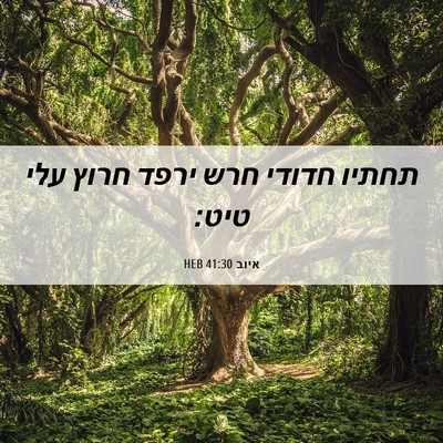 Picture 06 - איוב 41:30 HEB - תחתיו חדודי חרש ירפד חרוץ - Bible Verse Picture