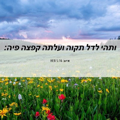 Picture 06 - איוב 5:16 HEB - ותהי לדל תקוה ועלתה קפצה - Bible Verse Picture