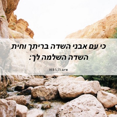 Picture 06 - איוב 5:23 HEB - כי עם אבני השדה בריתך וחית - Bible Verse Picture