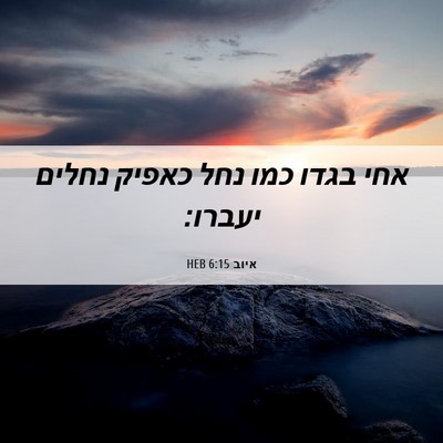 Picture 06 - איוב 6:15 HEB - אחי בגדו כמו נחל כאפיק - Bible Verse Picture