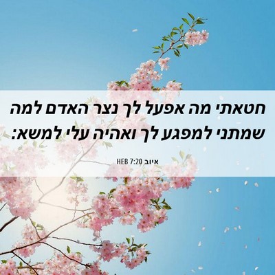 Picture 06 - איוב 7:20 HEB - חטאתי מה אפעל לך נצר האדם - Bible Verse Picture