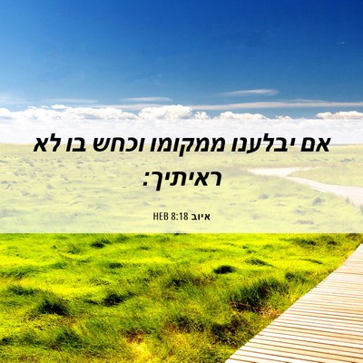 Picture 06 - איוב 8:18 HEB - אם יבלענו ממקומו וכחש בו לא - Bible Verse Picture