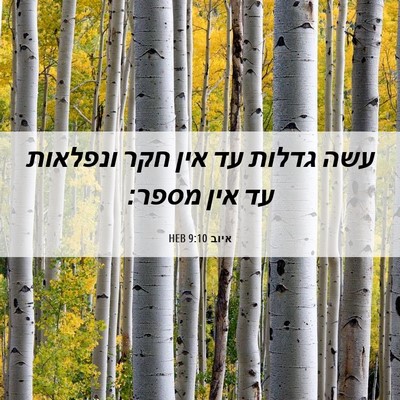 Picture 06 - איוב 9:10 HEB - עשה גדלות עד אין חקר - Bible Verse Picture