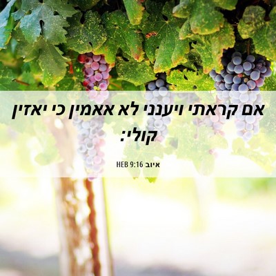 Picture 06 - איוב 9:16 HEB - אם קראתי ויענני לא אאמין כי - Bible Verse Picture