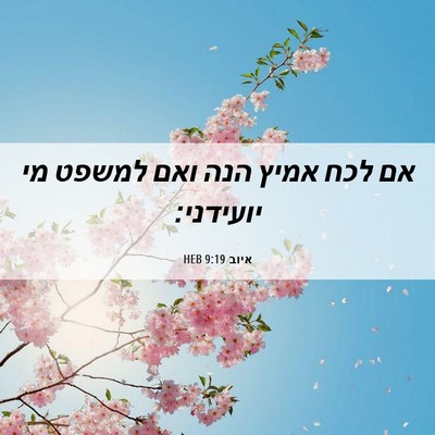 Picture 06 - איוב 9:19 HEB - אם לכח אמיץ הנה ואם למשפט - Bible Verse Picture
