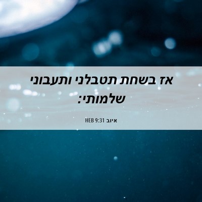 Picture 06 - איוב 9:31 HEB - אז בשחת תטבלני ותעבוני - Bible Verse Picture