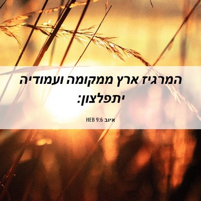 Picture 06 - איוב 9:6 HEB - המרגיז ארץ ממקומה ועמודיה - Bible Verse Picture