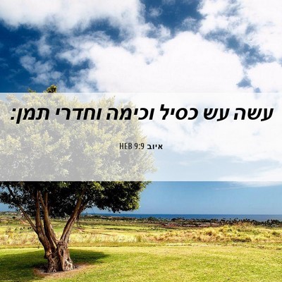 Picture 06 - איוב 9:9 HEB - עשה עש כסיל וכימה וחדרי - Bible Verse Picture