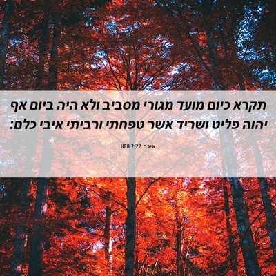Picture 06 - איכה 2:22 HEB - תקרא כיום מועד מגורי מסביב - Bible Verse Picture