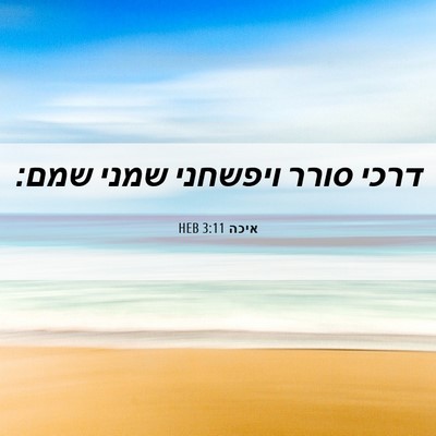 Picture 06 - איכה 3:11 HEB - דרכי סורר ויפשחני שמני - Bible Verse Picture