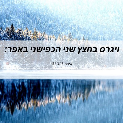Picture 06 - איכה 3:16 HEB - ויגרס בחצץ שני הכפישני - Bible Verse Picture