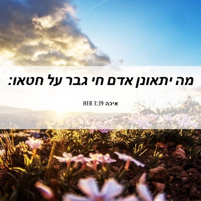 Picture 06 - איכה 3:39 HEB - מה יתאונן אדם חי גבר על - Bible Verse Picture