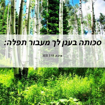 Picture 06 - איכה 3:44 HEB - סכותה בענן לך מעבור - Bible Verse Picture