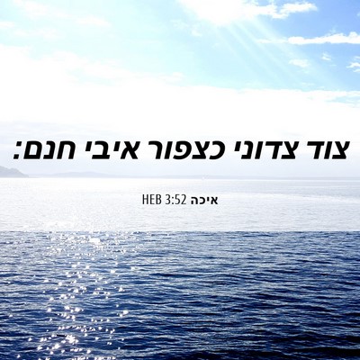 Picture 06 - איכה 3:52 HEB - צוד צדוני כצפור איבי - Bible Verse Picture