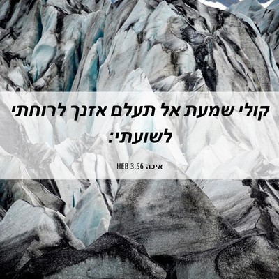 Picture 06 - איכה 3:56 HEB - קולי שמעת אל תעלם אזנך - Bible Verse Picture