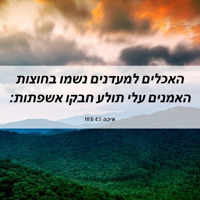 Picture 06 - איכה 4:5 HEB - האכלים למעדנים נשמו בחוצות - Bible Verse Picture