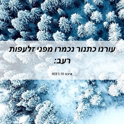 Picture 06 - איכה 5:10 HEB - עורנו כתנור נכמרו מפני - Bible Verse Picture