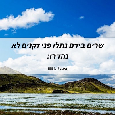 Picture 06 - איכה 5:12 HEB - שרים בידם נתלו פני זקנים לא - Bible Verse Picture