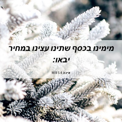 Picture 06 - איכה 5:4 HEB - מימינו בכסף שתינו עצינו - Bible Verse Picture