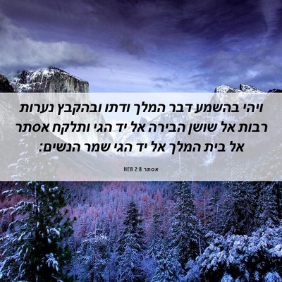 Picture 06 - אסתר 2:8 HEB - ויהי בהשמע דבר המלך ודתו - Bible Verse Picture