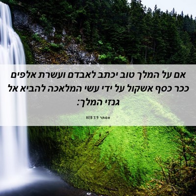 Picture 06 - אסתר 3:9 HEB - אם על המלך טוב יכתב לאבדם - Bible Verse Picture
