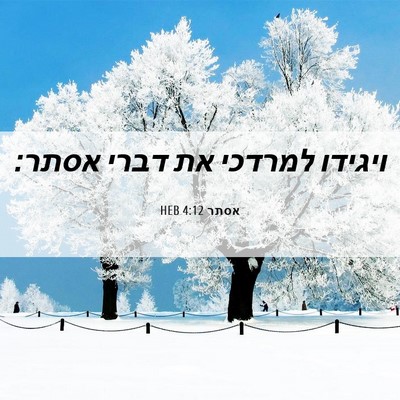 Picture 06 - אסתר 4:12 HEB - ויגידו למרדכי את דברי - Bible Verse Picture