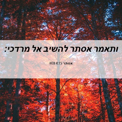 Picture 06 - אסתר 4:15 HEB - ותאמר אסתר להשיב אל - Bible Verse Picture