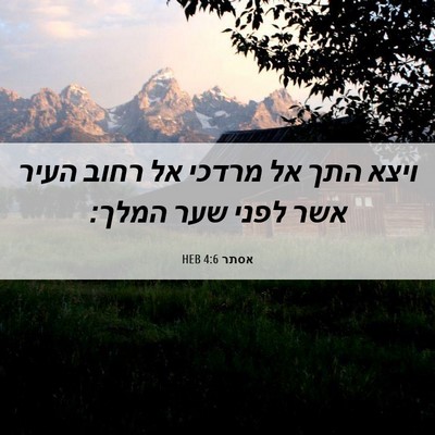 Picture 06 - אסתר 4:6 HEB - ויצא התך אל מרדכי אל רחוב - Bible Verse Picture
