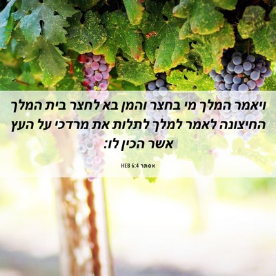 Picture 06 - אסתר 6:4 HEB - ויאמר המלך מי בחצר והמן בא - Bible Verse Picture