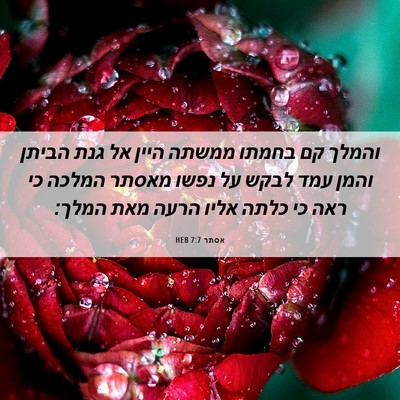 Picture 06 - אסתר 7:7 HEB - והמלך קם בחמתו ממשתה היין - Bible Verse Picture