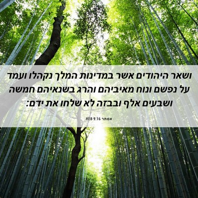 Picture 06 - אסתר 9:16 HEB - ושאר היהודים אשר במדינות - Bible Verse Picture