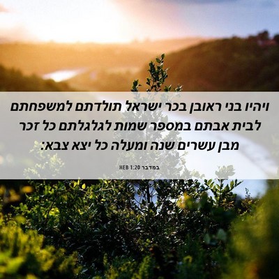 Picture 06 - במדבר 1:20 HEB - ויהיו בני ראובן בכר ישראל - Bible Verse Picture