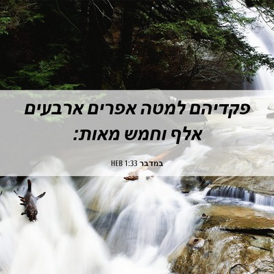 Picture 06 - במדבר 1:33 HEB - פקדיהם למטה אפרים ארבעים - Bible Verse Picture