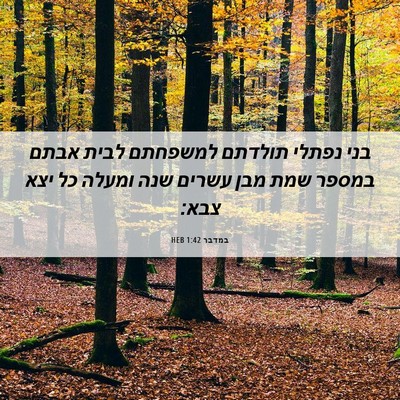 Picture 06 - במדבר 1:42 HEB - בני נפתלי תולדתם למשפחתם - Bible Verse Picture