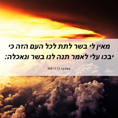 Picture 06 - במדבר 11:13 HEB - מאין לי בשר לתת לכל העם הזה - Bible Verse Picture