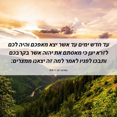 Picture 06 - במדבר 11:20 HEB - עד חדש ימים עד אשר יצא - Bible Verse Picture