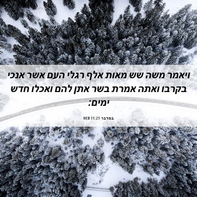Picture 06 - במדבר 11:21 HEB - ויאמר משה שש מאות אלף רגלי - Bible Verse Picture