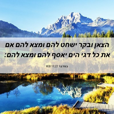 Picture 06 - במדבר 11:22 HEB - הצאן ובקר ישחט להם ומצא להם - Bible Verse Picture