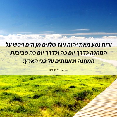 Picture 06 - במדבר 11:31 HEB - ורוח נסע מאת יהוה ויגז - Bible Verse Picture