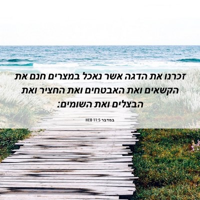 Picture 06 - במדבר 11:5 HEB - זכרנו את הדגה אשר נאכל - Bible Verse Picture