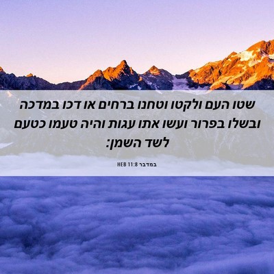 Picture 06 - במדבר 11:8 HEB - שטו העם ולקטו וטחנו ברחים - Bible Verse Picture