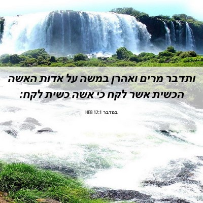 Picture 06 - במדבר 12:1 HEB - ותדבר מרים ואהרן במשה על - Bible Verse Picture