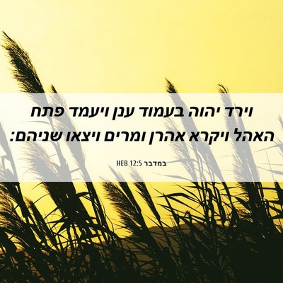 Picture 06 - במדבר 12:5 HEB - וירד יהוה בעמוד ענן ויעמד - Bible Verse Picture