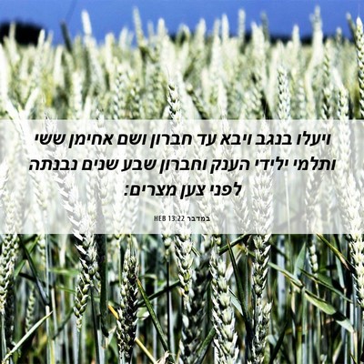Picture 06 - במדבר 13:22 HEB - ויעלו בנגב ויבא עד חברון - Bible Verse Picture