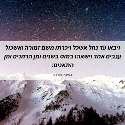 Picture 06 - במדבר 13:23 HEB - ויבאו עד נחל אשכל ויכרתו - Bible Verse Picture