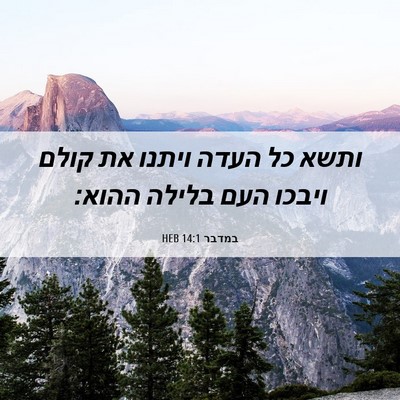 Picture 06 - במדבר 14:1 HEB - ותשא כל העדה ויתנו את קולם - Bible Verse Picture