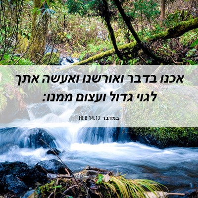 Picture 06 - במדבר 14:12 HEB - אכנו בדבר ואורשנו ואעשה - Bible Verse Picture