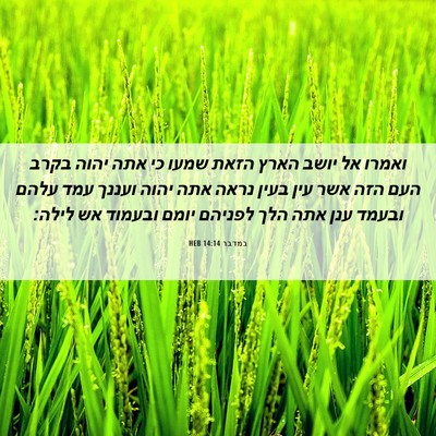 Picture 06 - במדבר 14:14 HEB - ואמרו אל יושב הארץ הזאת - Bible Verse Picture
